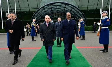 Somali Prezidenti Hasan Şeyx Mahmudun ölkəmizə səfəri bitdi