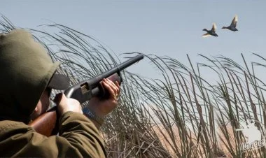 Biləsuvarda qanunsuz ov edən əcnəbilər saxlanılıb