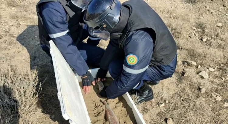 Kəngərli rayonunda mina və top mərmisi aşkarlanıb