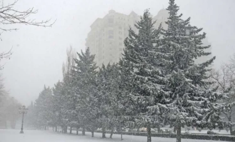 Bu gün də Bakıda qar yağacaq, çovğun olacaq