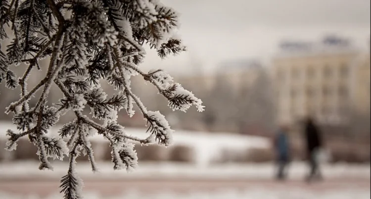 Temperatur normadan 7.5 dərəcə aşağıdır