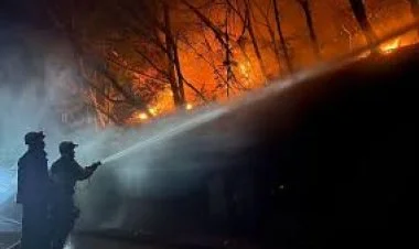 Yaponiyada son 50 ilin ən güclü meşə yanğını baş verib