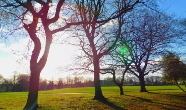 Sabah hava necə olacaq?