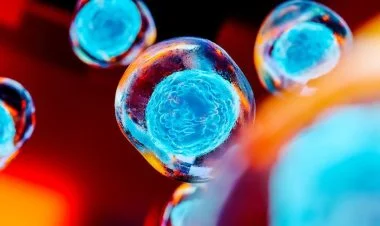 Tibbi sıçrayış: iflic olan adam ayağa qalxır