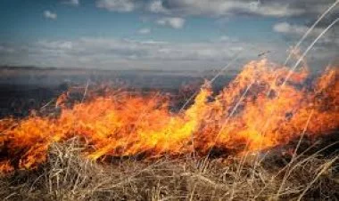 Quba və Xaçmazın kəndlərindəki yanğınlar söndürülüb