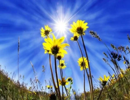 Sabah 25 dərəcə isti gözlənilir