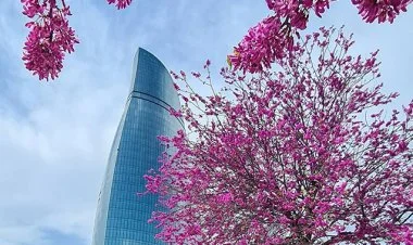 Sabah Bakıda 31 dərəcə isti olacaq