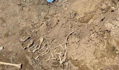 Qubadlıda insan sümüklərinə oxşayan qalıqlar aşkar edilib