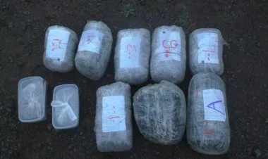 Yardımlıda 12 kiloqram narkotik vasitə aşkarlanıb