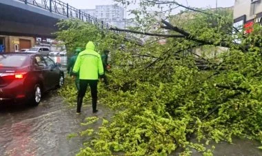 Güclü külək Bakıda 55 ağacı sındırıb FOTO