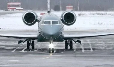 Uitkoffun təyyarəsi "Vnukovo" hava limanına enib