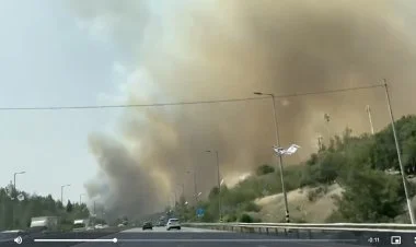 İsraildə meşə yanğınları təhlükəli həddə çatır