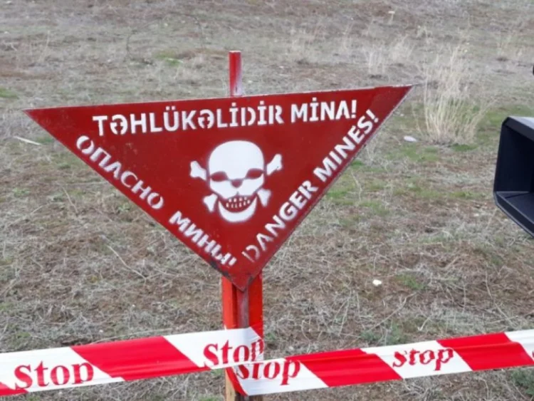 ANAMA aylıq hesabatını açıqlayıb