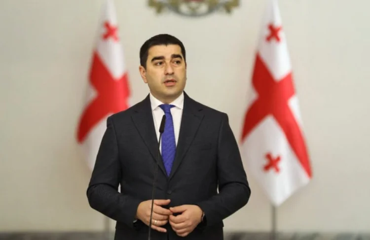 Gürcüstan parlamentinin sədri Ursula fon der Lyayeni qınadı