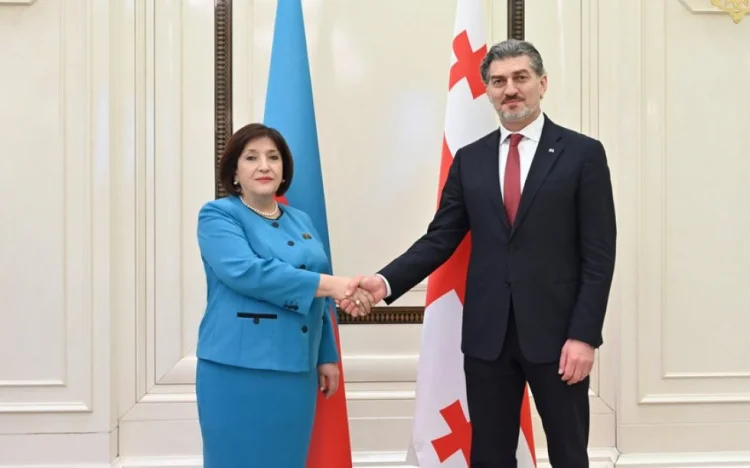 Sahibə Qafarova Mixeil Kavelaşvili ilə görüşüb