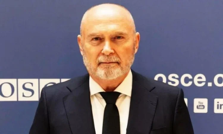 ATƏT-in baş katibi Feridun Sinirlioğlu Ermənistana gedib