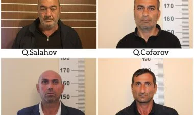 Salyanda narkotik bitkilər yetişdirən 4 nəfər tutulub