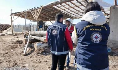 Türkiyədə 547 qeyri-qanuni miqrant tutulub