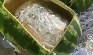 Qarpızın içərisində gizlədilən narkotik aşkarlanıb