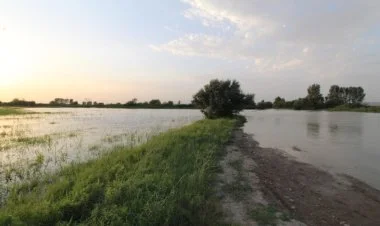 Kür çayında sululuğun artması Qazaxda fəsad yaradıb