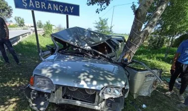 Şabranda avtomobil ağaca çırpılıb, 2 qardaş ölüb
