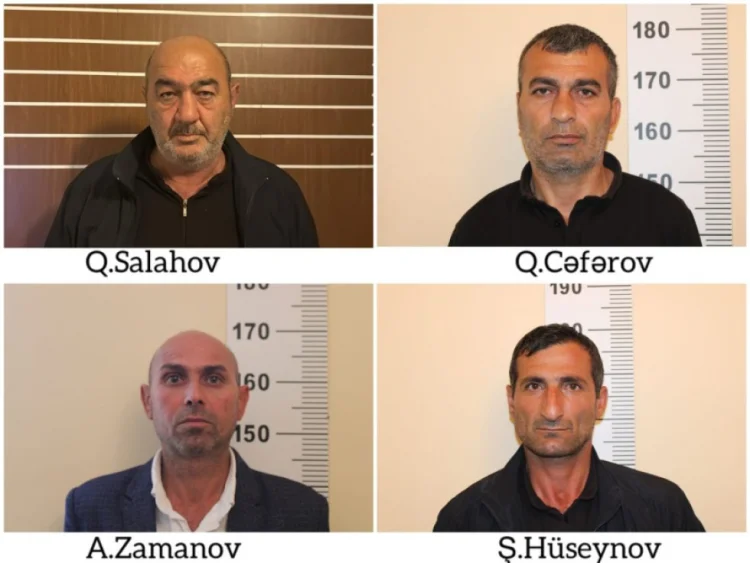 Salyanda narkotik bitkilər yetişdirən 4 nəfər tutulub