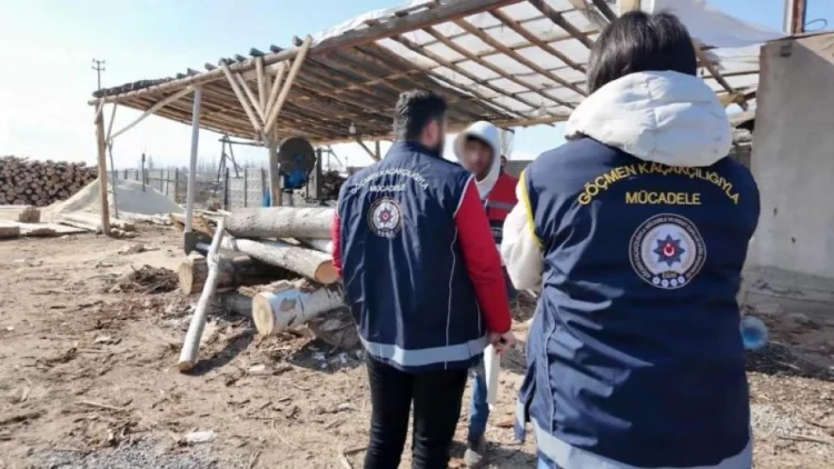 Türkiyədə 547 qeyri-qanuni miqrant tutulub