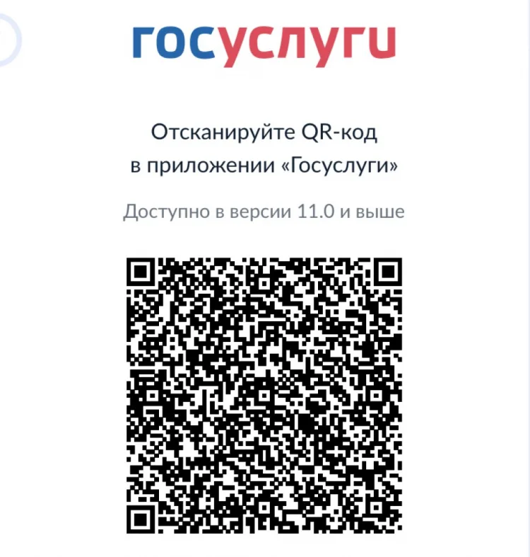 İndi Rusiyaya giriş üçün QR kodu tələb olunur