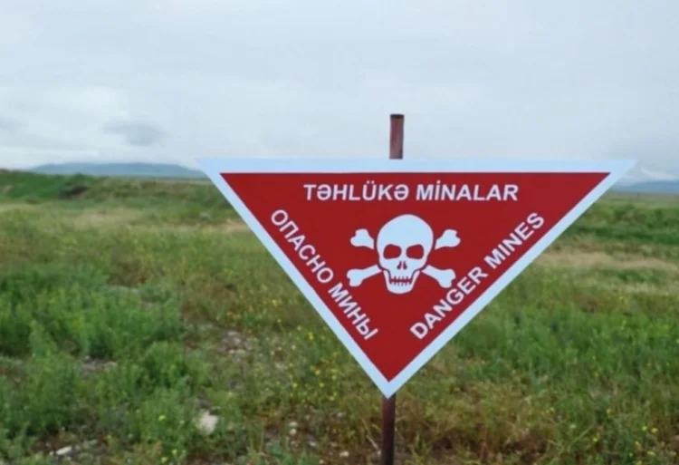 Ötən həftə 1291 ha ərazi minalardan təmizlənib