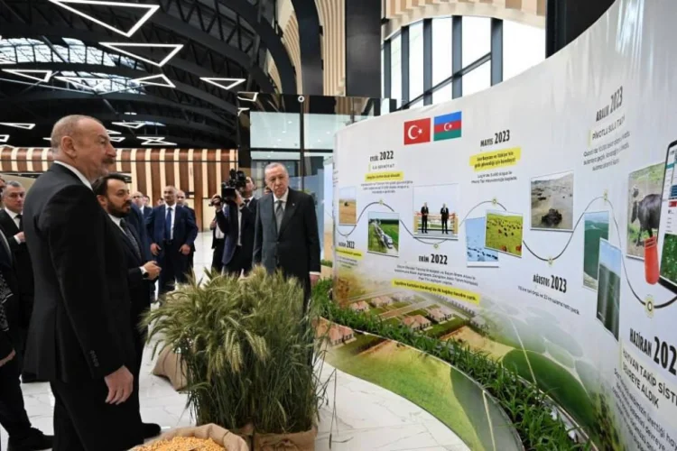 Əliyev və Ərdoğan özəl aqrokompleks planı ilə tanış olublar