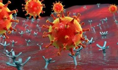 Avropada yeni növ koronavirus sürətlə yayılır