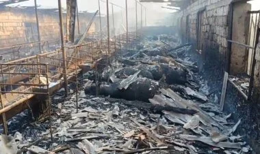 Salyanda ferma yanıb, heyvanlar tələf olub