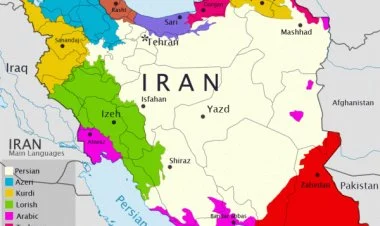 Proqnozlar və fərziyyələr haqqında