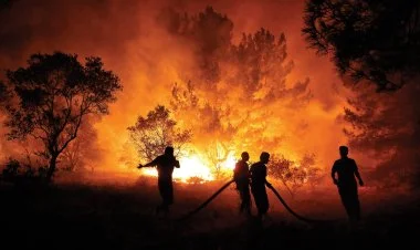 Türkiyədə meşə yanğınları davam edir