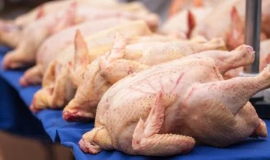 Azərbaycan Çinə toyuq əti ixrac edəcək