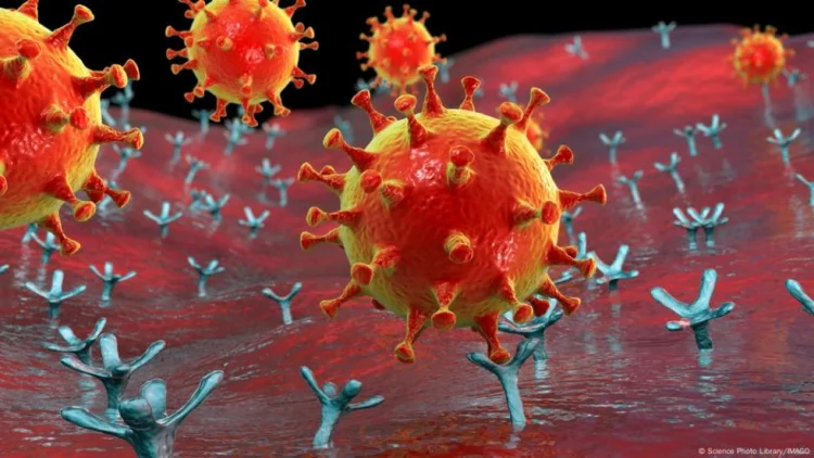 Avropada yeni növ koronavirus sürətlə yayılır