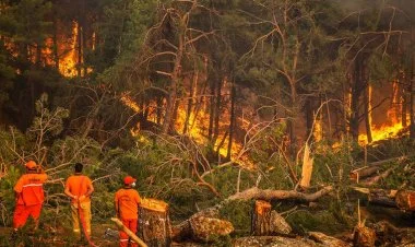 İzmirdə meşə yanğınları yaşayış məntəqələrinə çatıb FOTO