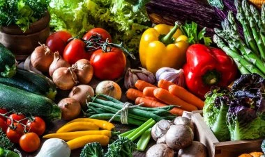 Rusiya Azərbaycandan meyvə-tərəvəz ixracına maneə törədir