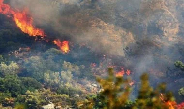 Laçında meşədə baş verən yanğın tam söndürülüb