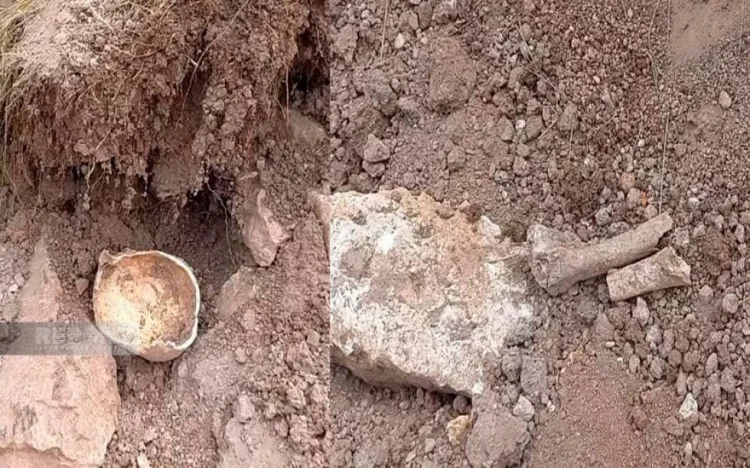 Laçında insan sümükləri tapılıb