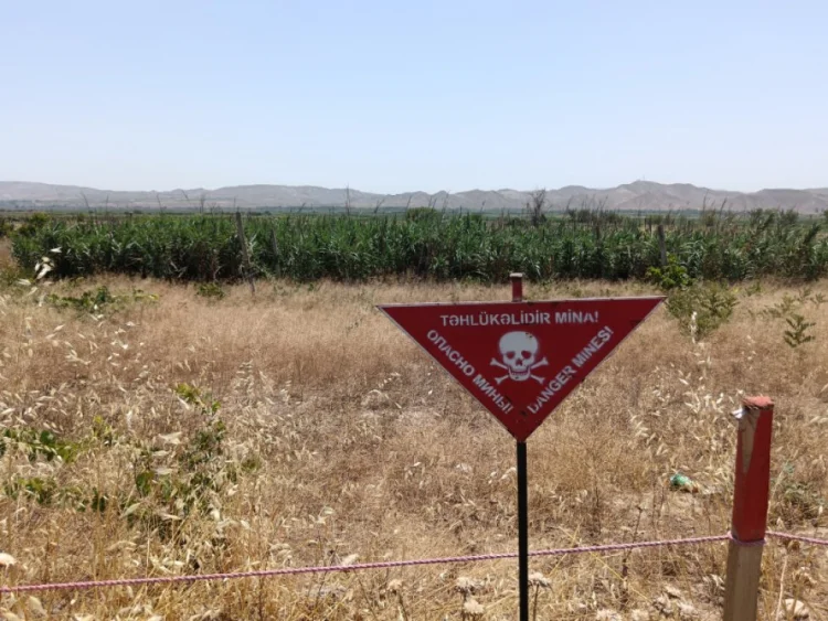Azad edilmiş ərazilərdə daha 81 mina, 240 PHS aşkarlanıb