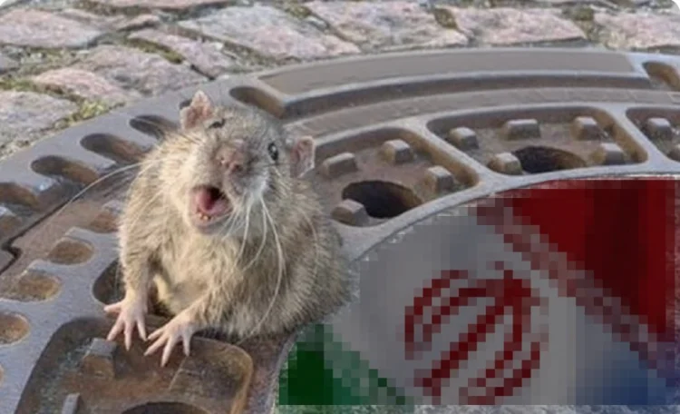 Vilayətinin şikayətləri və iniltiləri