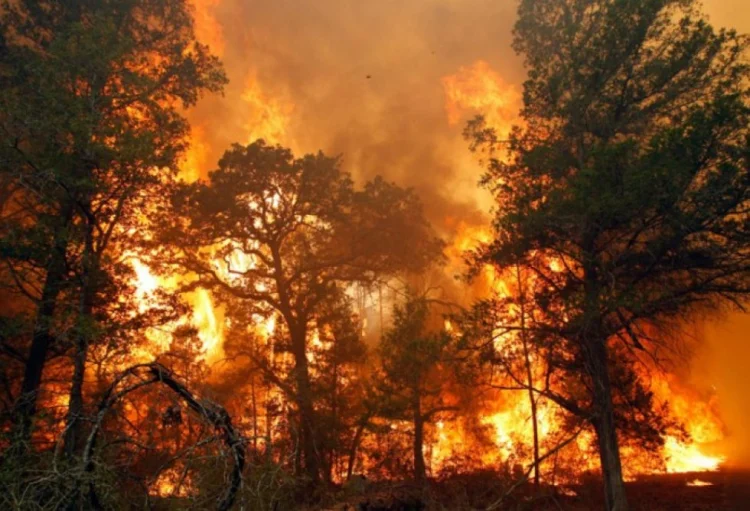 FHN yanğın təhlükəsizliyinə dair əhaliyə müraciət edib