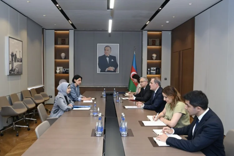 UNICEF-in nümayəndəsinin diplomatik missiyası başa çatıb