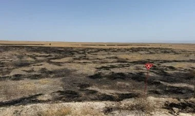 Cəbrayılda yanğına səbəb olan 8 nəfər saxlanılıb