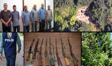 Dağda narkotik becərən silahlı dəstə həbs edilib