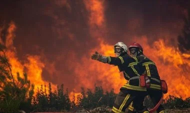 Fransanın cənubunu dəhşətli meşə yanğınları bürüyüb FOTO