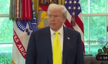 Tramp Putin və Zelenskinin görüşünü vacib hesab etmir