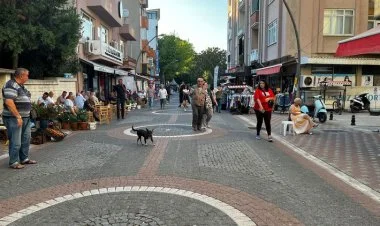 Türkiyədə daha bir neçə zəlzələ qeydə alınıb