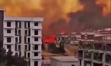 Türkiyənin Çanaqqala bölgəsində güclü meşə yanğını gedir